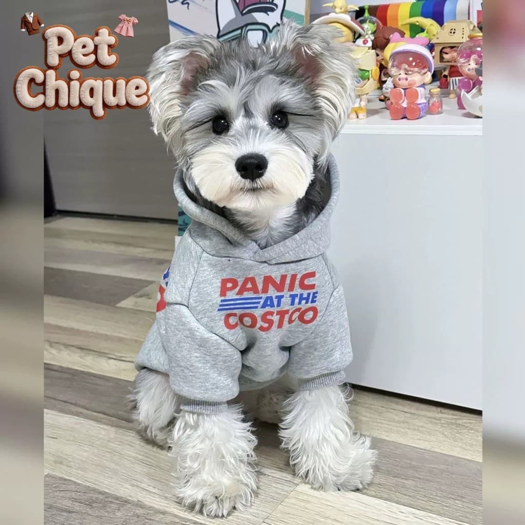 Pet Chique - Moletom de lã para cães pequenos da raça Bichon, cinza retrô com capuz 2026