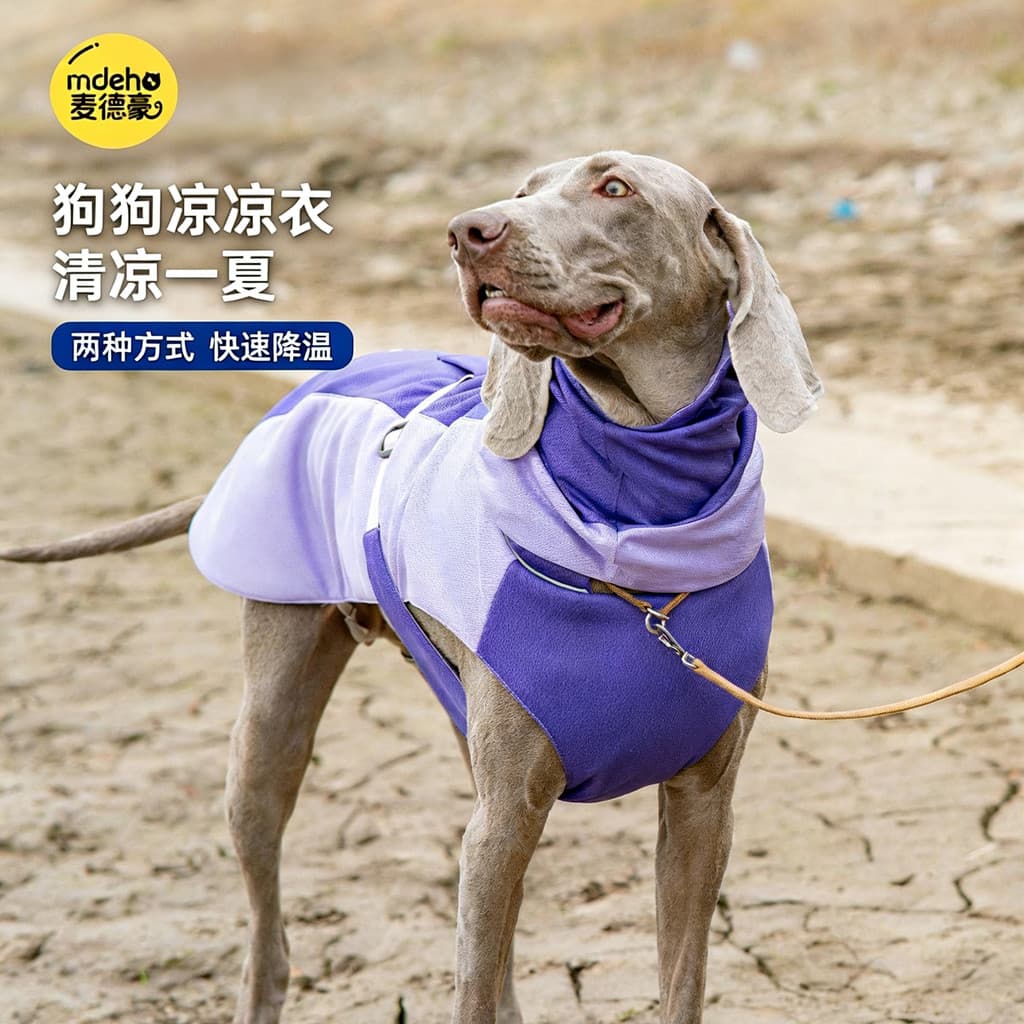Verão cão legal sensação roupas respirável legal médio grande cão colete de refrigeração Spinger Hound cão protetor sola