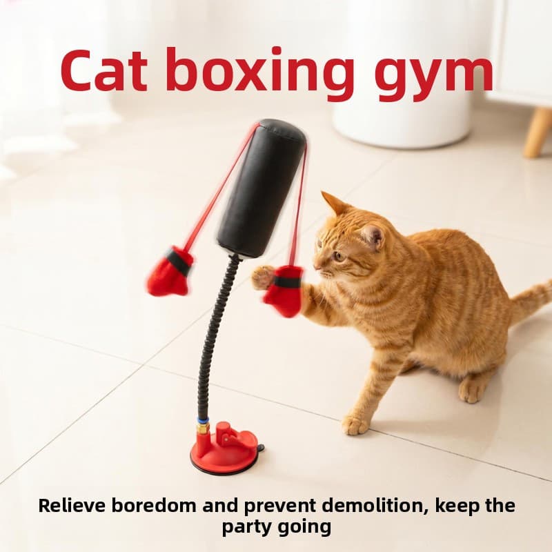 Brinquedo de gato auto-feliz alívio do tédio interativo gato primavera boxe quadro multifuncional consumo físico provoca