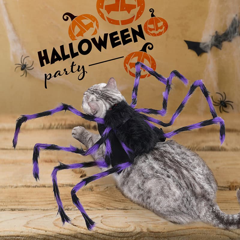 Fantasias De Halloween Para Animais De Estimação : Engraçadas Transformando Em Uma Aranha Gigante