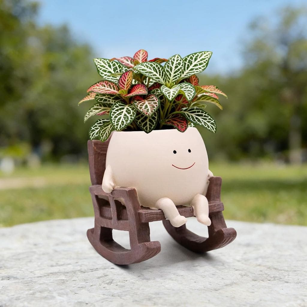 Vaso de Plantas em Forma de Cadeira de Balanço com Rosto Sorridente para Plantas de Interior e Exterior, Vasos de Flores