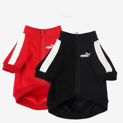 Jaqueta Esportiva Quente para Cães Pequenos/Médios - Impermeável, Refletiva e Ajustável - Tamanhos de S a 4XL XHQY QDIG