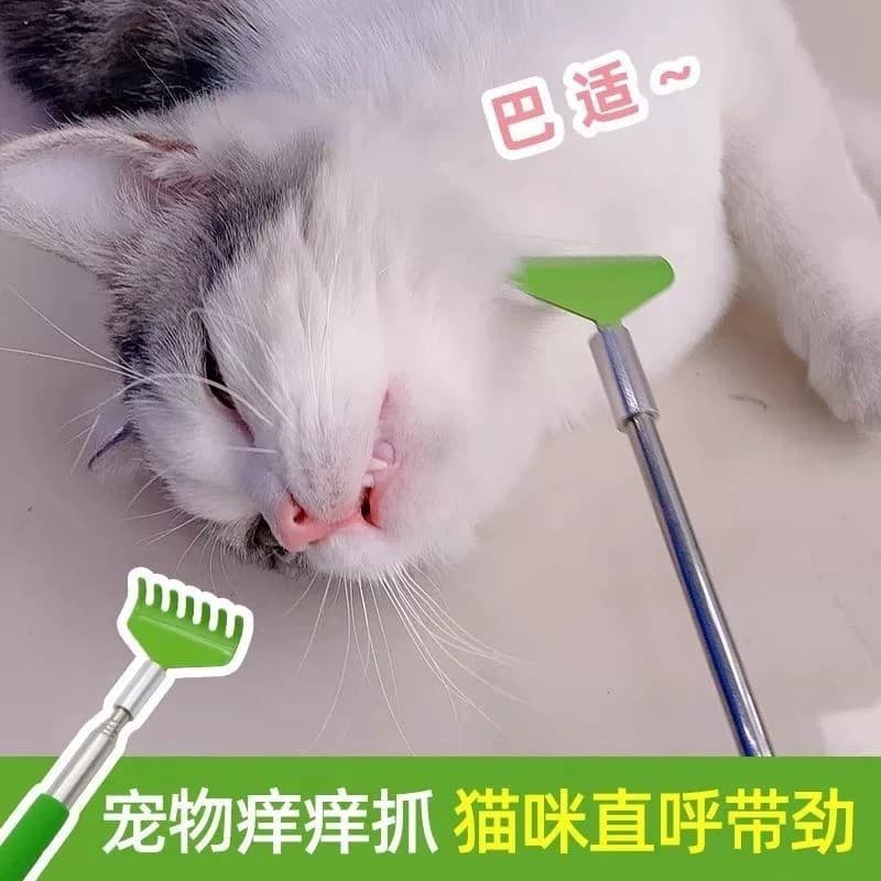 Gato arranhando brinquedo retrátil coceira coçar massagem interativo gato pente cão aliviar coceira aliciamento gato de