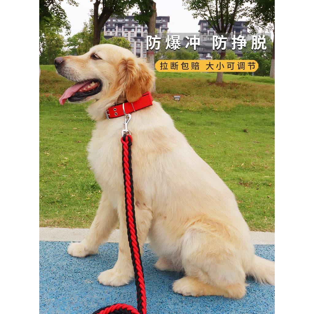 Coleira retrátil Extra grossa, à prova de explosão, médio e grande, para caminhada, cachorro, coleira para cachorro, inf