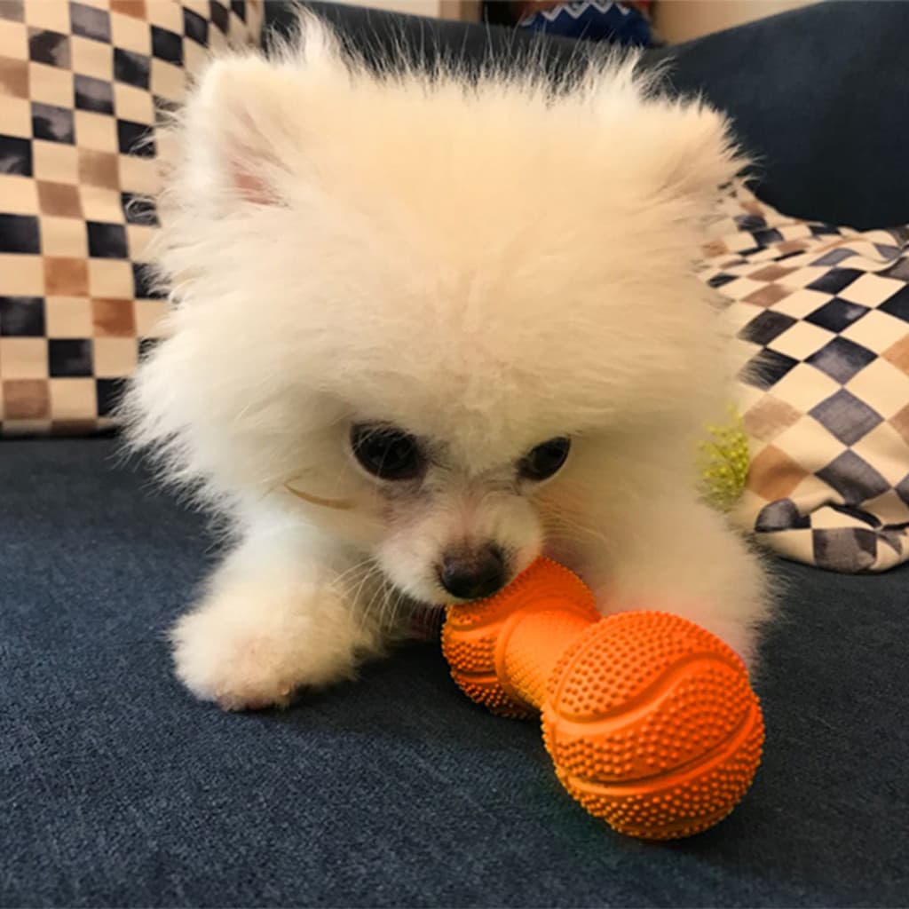 Laroo Leno Brinquedo para cachorro, bola resistente à mordida, alívio do tédio, ferramenta útil para animais de estimaçã