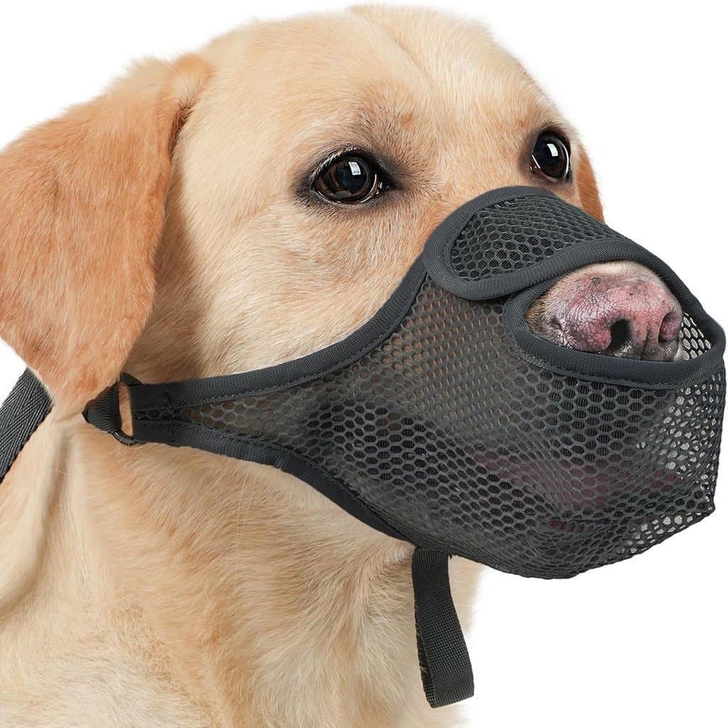 Focinheira de malha respirável para cães, evita mordidas, latidos, mastigação, arranhões e lambidas.