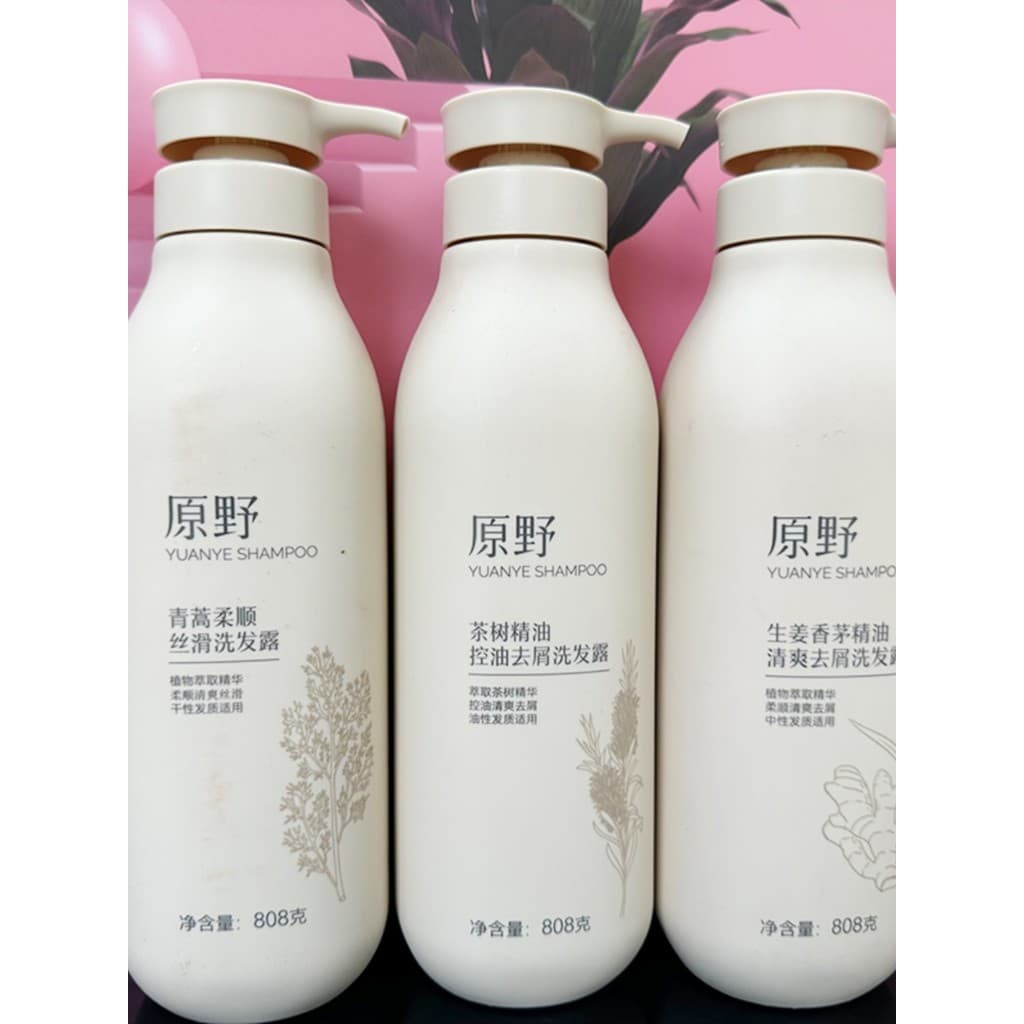 Gengibre selvagem anti-caspa shampoo Artemisia macio sedoso chá árvore óleo essencial controle anti-caspa shampoo volumi