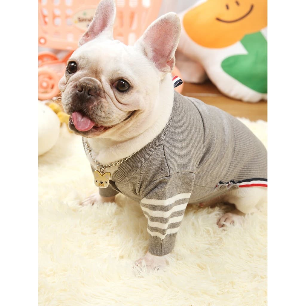 Tb roupas para cães suéter para animais de estimação gato outono inverno Cardigan francês luta rua Wear pequeno cão Tedd