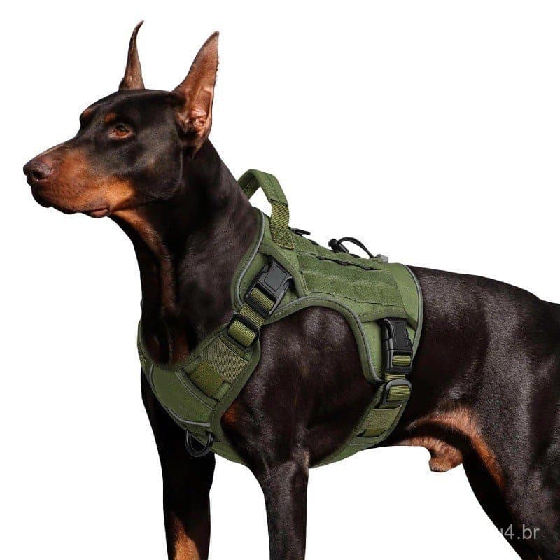 Coleira Peitoral Para Cachorro Grande Pequeno Conjunto Arnês E Trela Cães Tático Militar Colete