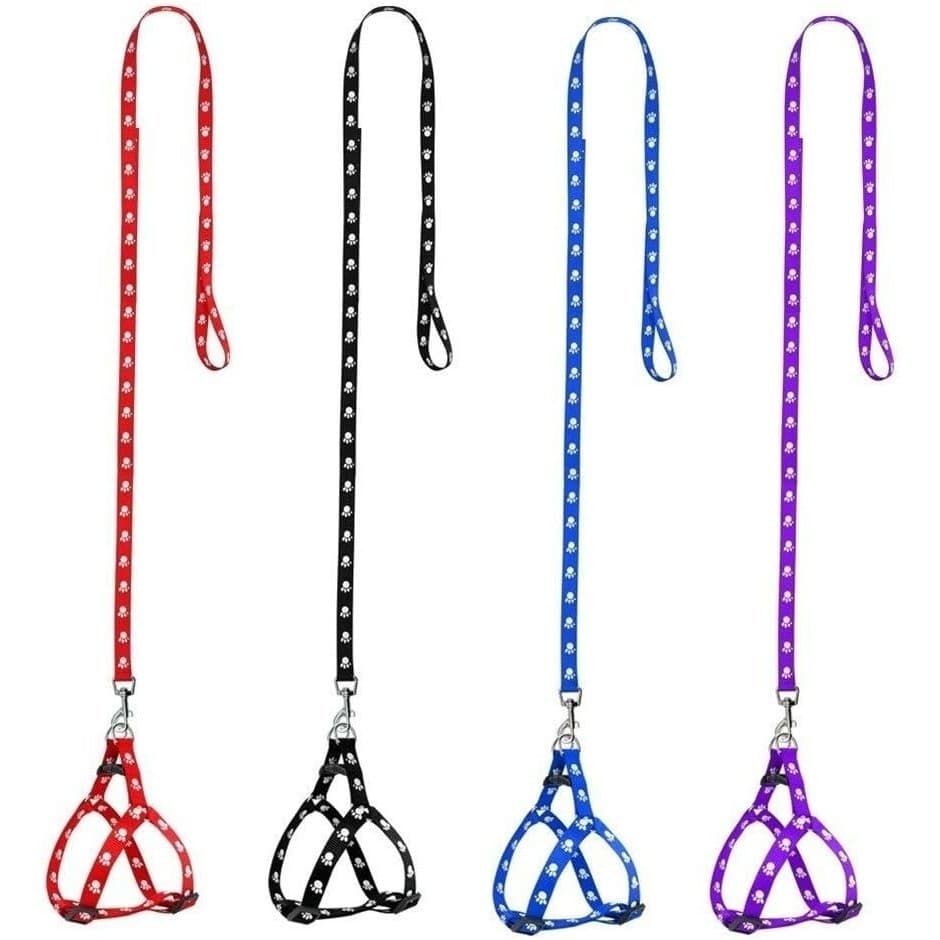 Kit 2 Coleira Guia Peitoral Para Cachorro Gato Ajustável Pet Cão Pequeno Porte
