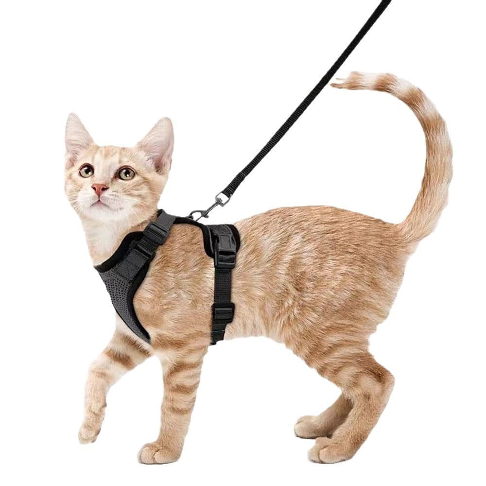 Coleira Para Gatos anti-Quebra Ajustável Estilo Colete Arnês Animais De Estimação Telescópico