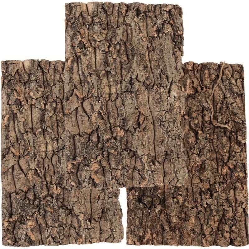 Totority Casca De Cortiça 3 Peças Decoração De Plantas Fundo De Terrário Decorativo Adorno De Árvore Réptil Brinquedo De
