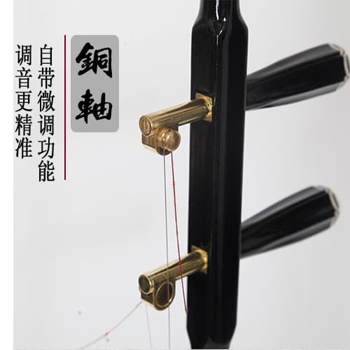 Eixo de cobre Erhu conjunto completo de instrumentos musicais étnicos velho Cheng High-End cor etiqueta fonética de made