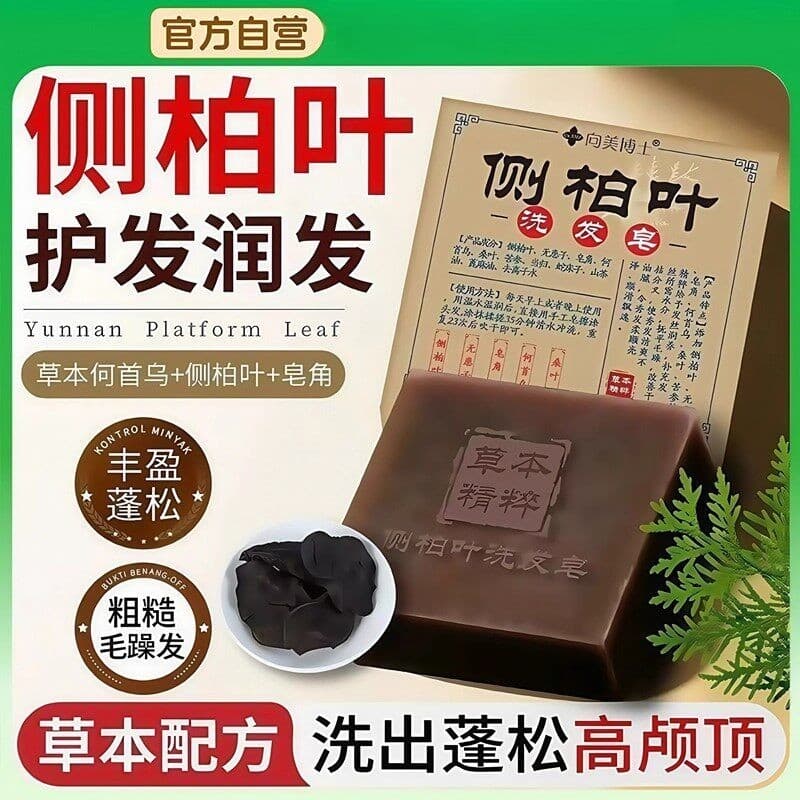 Shampoo de folha de cipreste lateral genuíno, sabonete Polygonum Multiflorum, ervas chinesas tradicionais, anticaspa par