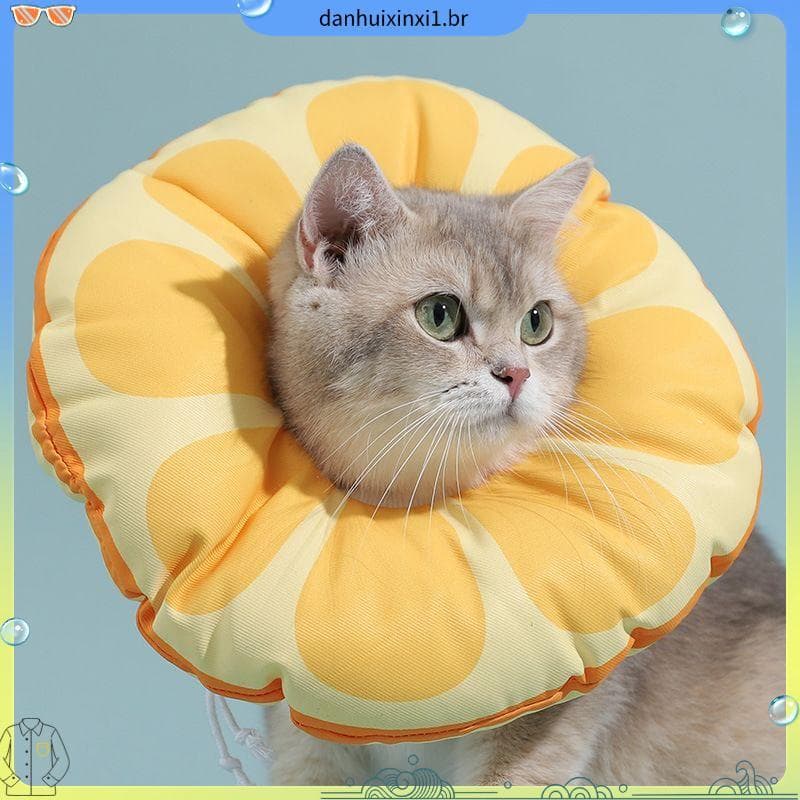 Gato Elizabeth coleira de gato gatinho Anti-lamber mordida vergonha conjunto coleira de cachorro coleira de esterilizaçã
