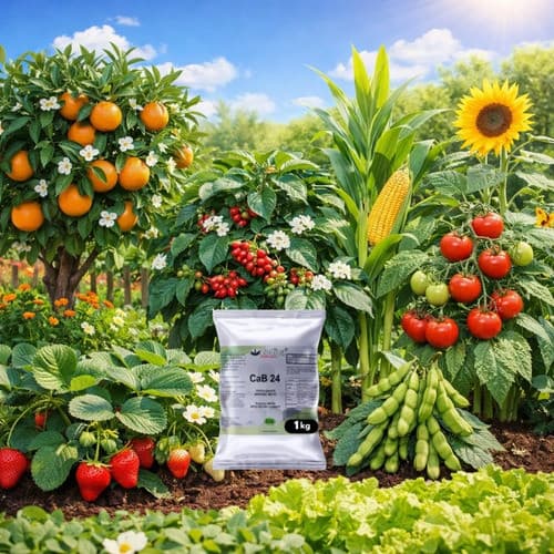 Fertilizante Cálcio Boro Adubo Floração E Frutos Foliar 1kg