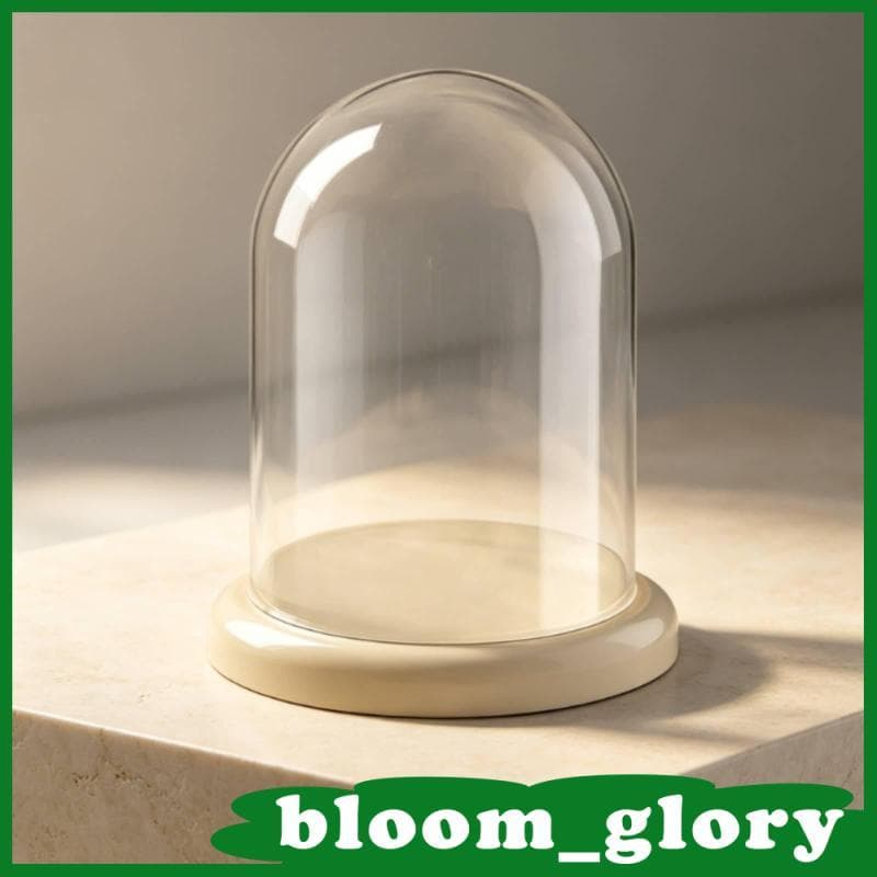 [Bloom_glory] Display Dome Transparente Desktop Case Estatueta Caixa De Armazenamento Compacta Fechada Para Colecionador