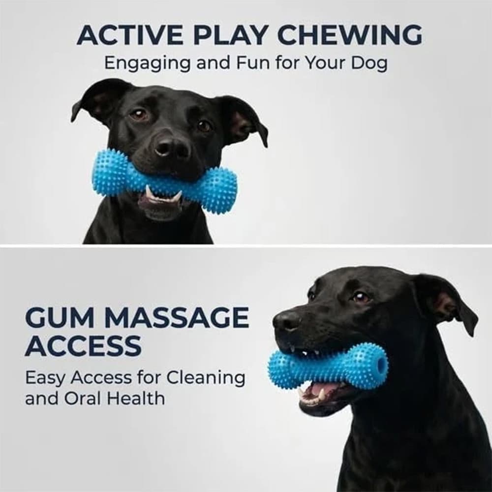 Brinquedo Para Mastigar Cachorro , Bastão De Limpeza De Dentes De Borracha Natural Cães De Todas As Raças