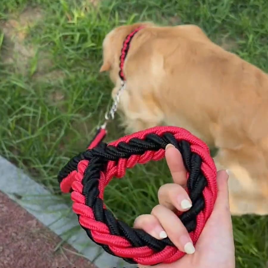 Coleira de cachorro à prova de explosão, médio e grande, Golden Retriever, Labrador, negrito, coleira de caminhada para