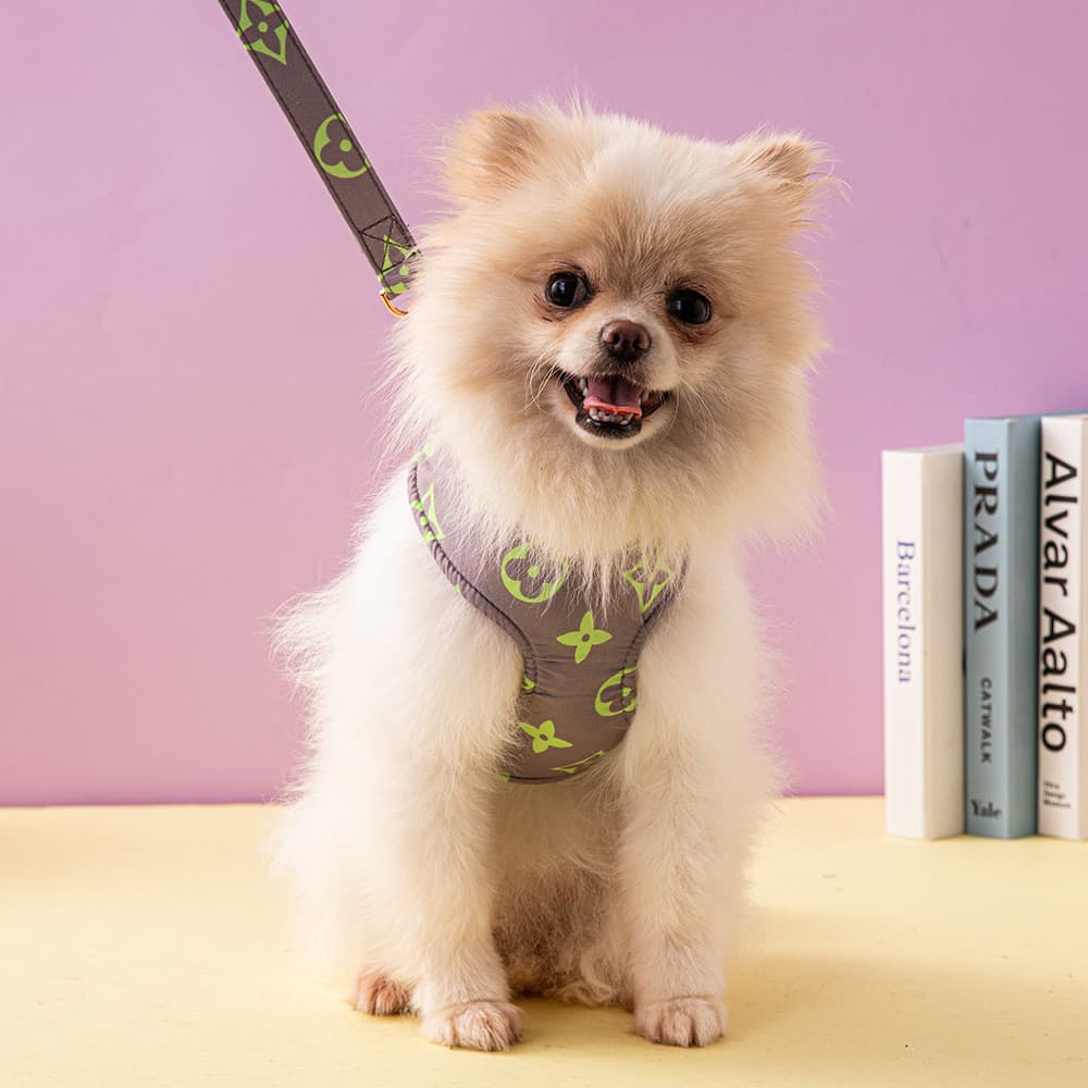 Alça peitoral para animais de estimação, roupa de rua, coleira pequena e média para cães, estoque pronto, peito para cãe