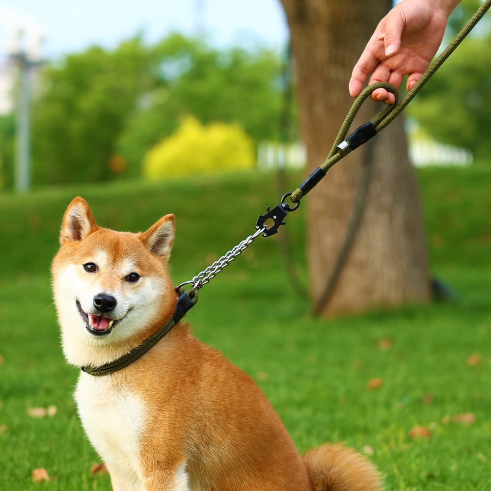 Coleira para cachorro, coleira média e grande para cachorro, pode pendurar, coleira para cachorro de estimação, coleira