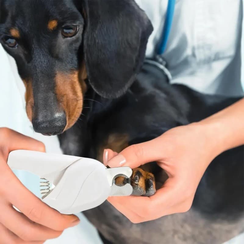 Alicate De Cortar Unha Pet Para Cachorros Gatos Pequenos E Medios