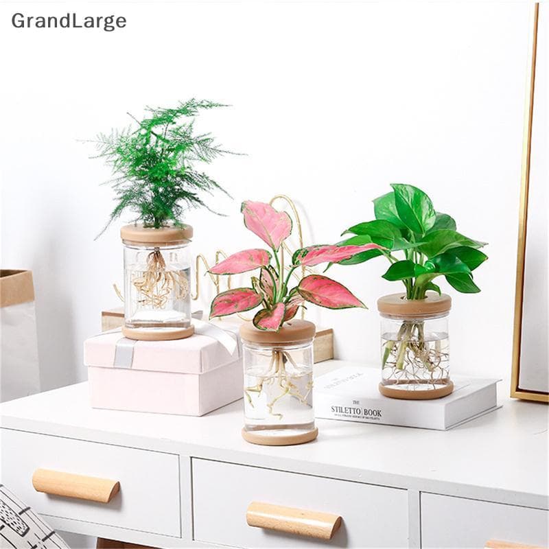 [GrandLarge] Vasos Para Vaso De Imitação De Vidro Plantio De Pequenos De Plantas Verdes De Flores BR