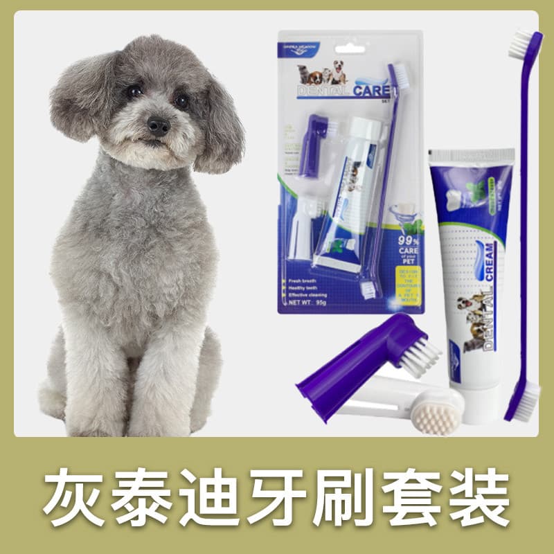 Conjunto de escova de dentes especial de pelúcia cinza, filhote de cachorro, pasta de dente para animais de estimação, f