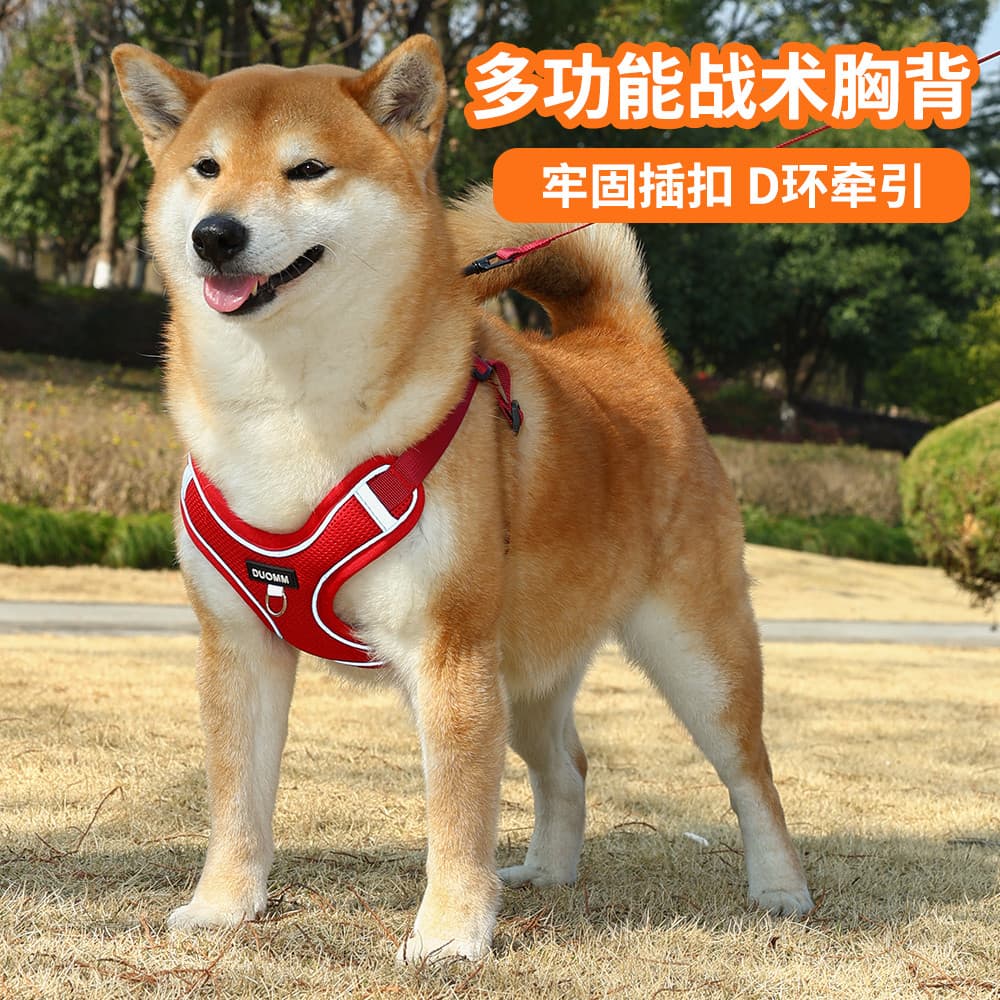 Cão andando cão corda malha respirável colete estilo Shiba Inu Corgi pequeno cão de tamanho médio trela
