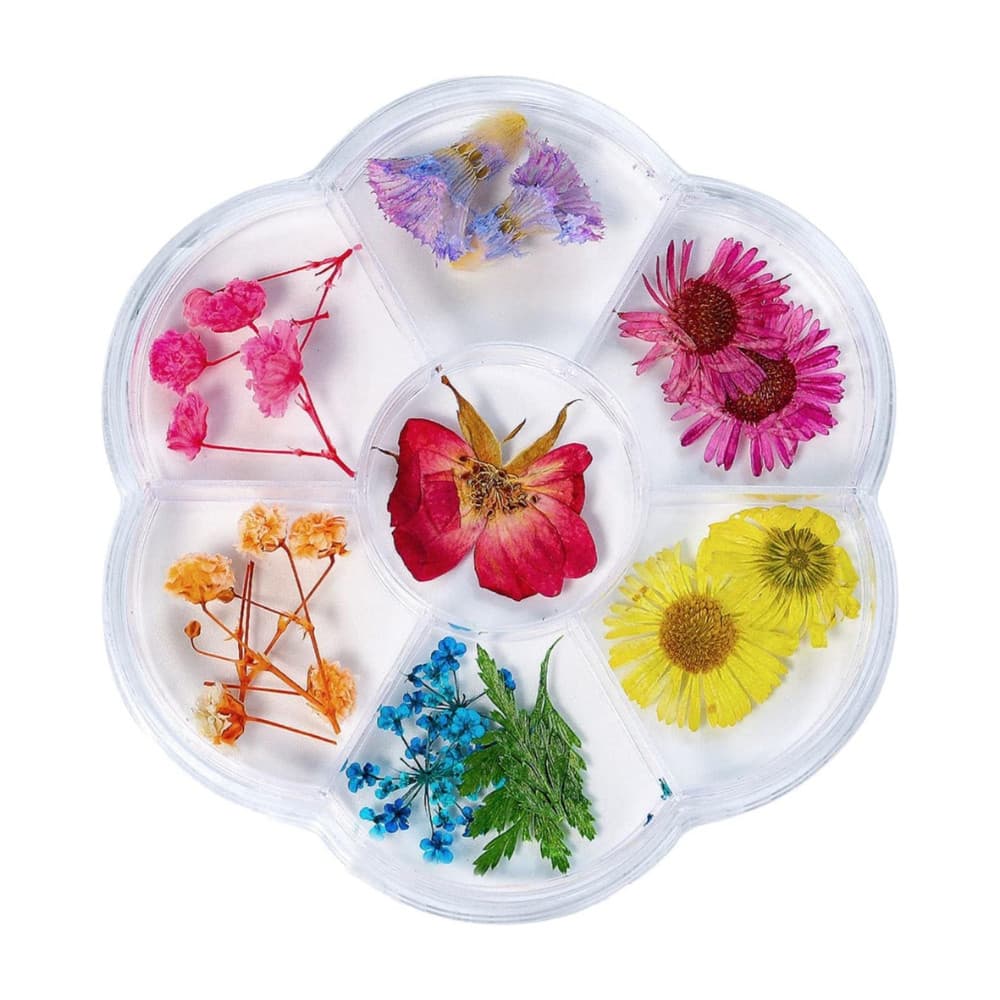 Kit Flores Secas