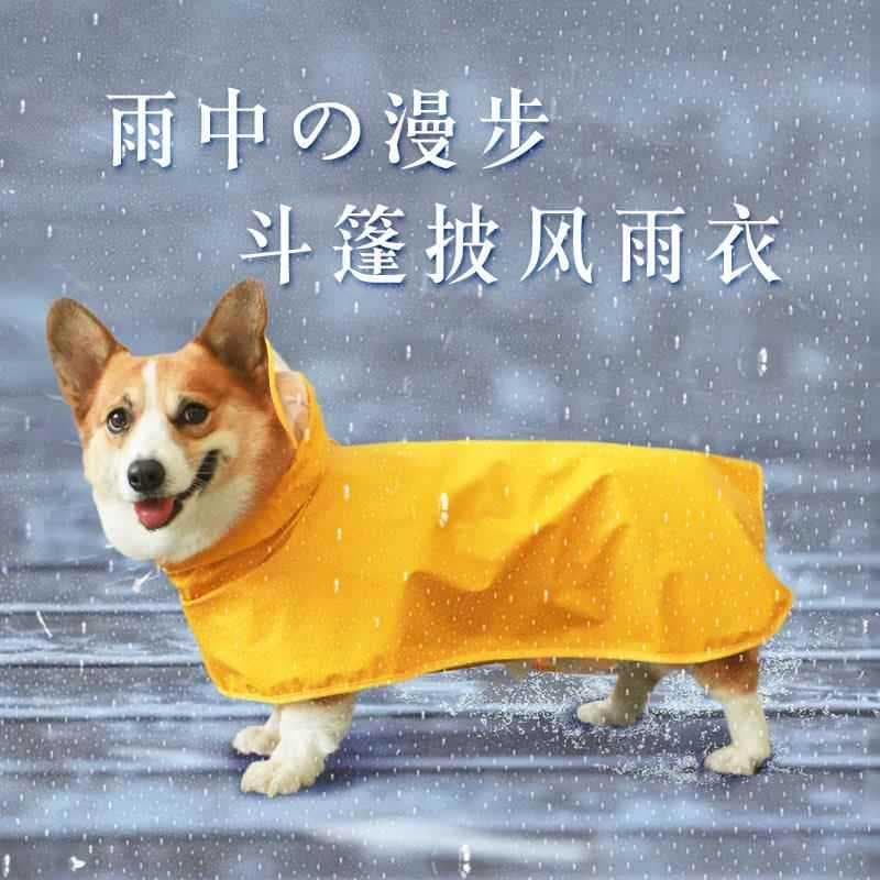 Capa de chuva para cães pequenos, suprimentos para animais de estimação, Teddy Corgi, roupas especiais à prova d'água pa