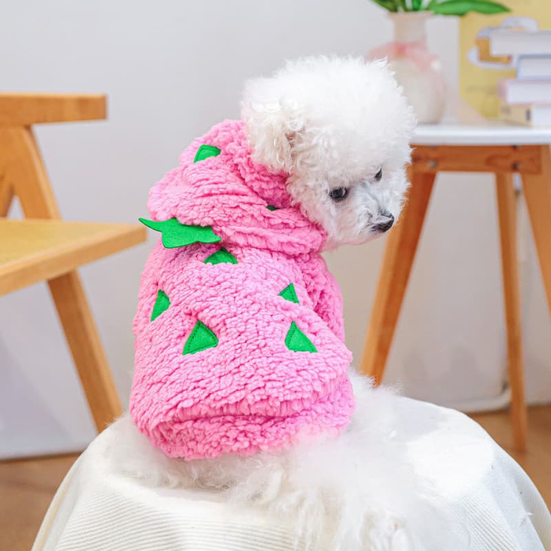 Roupas Para Cães De Estimação Raças · Outono/Inverno Quente E Confortável Terno De Transformação De Flanela Curta
