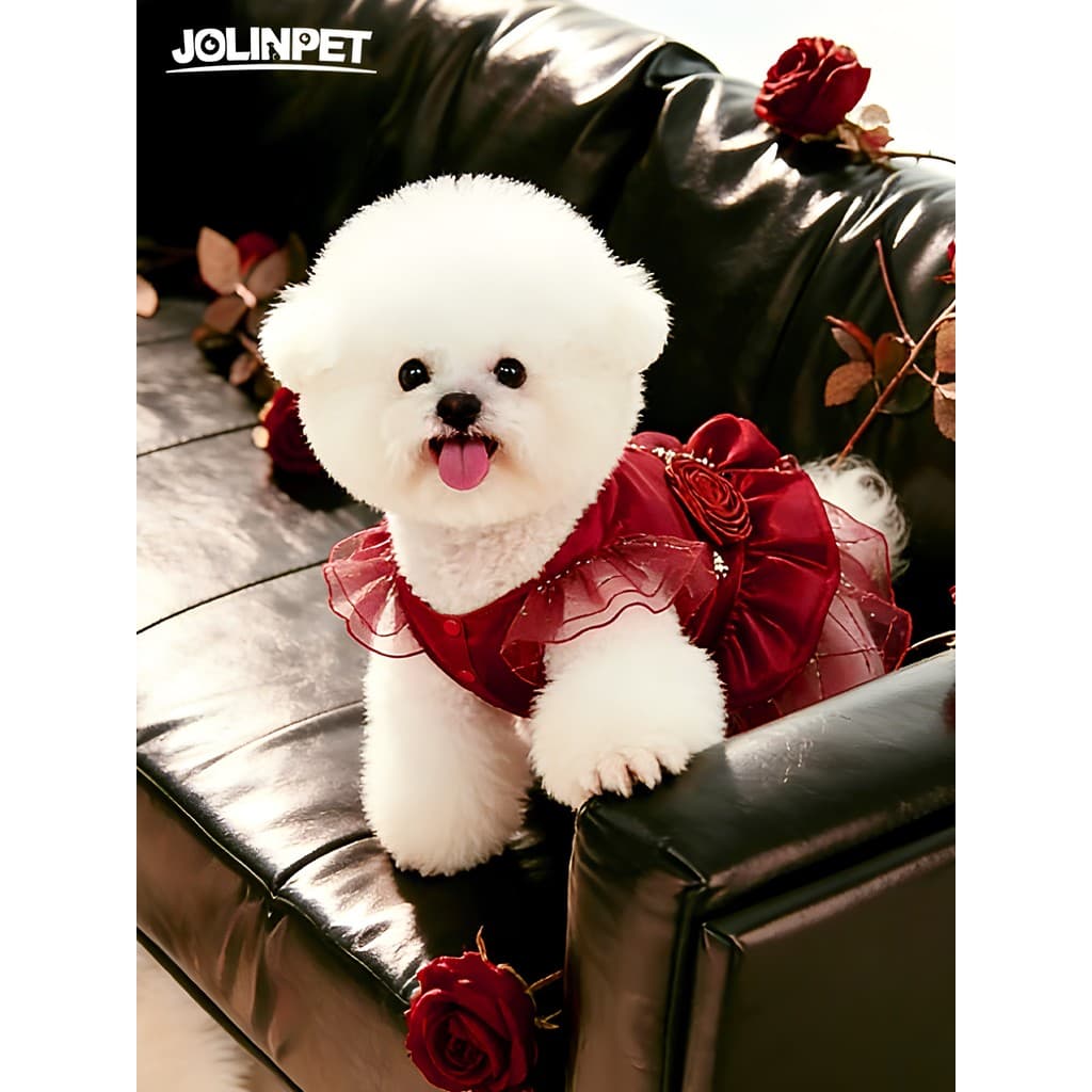 Primavera atmosfera renda vermelha pet Puff saia gato cão princesa vestido feriado banquete roupas para animais de estim