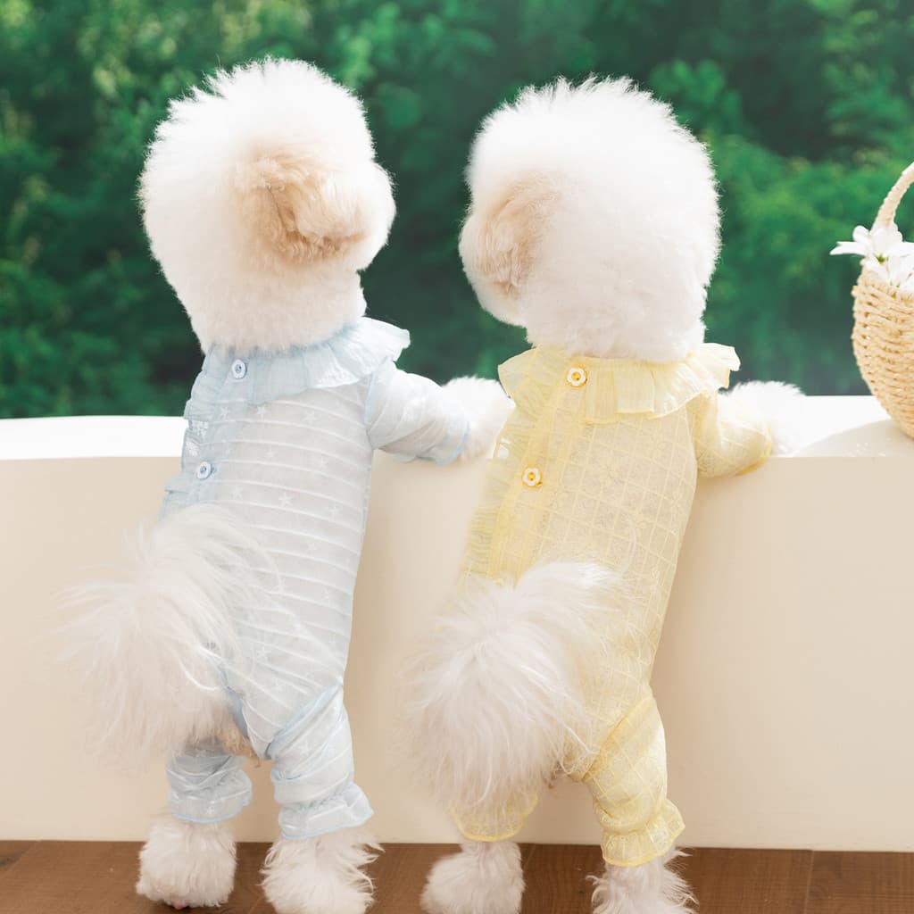 Roupa para Cães para Primavera e Verão, Conjunto de Quatro Peças em Malha Fina e Respirável com Gola de Renda para Cães
