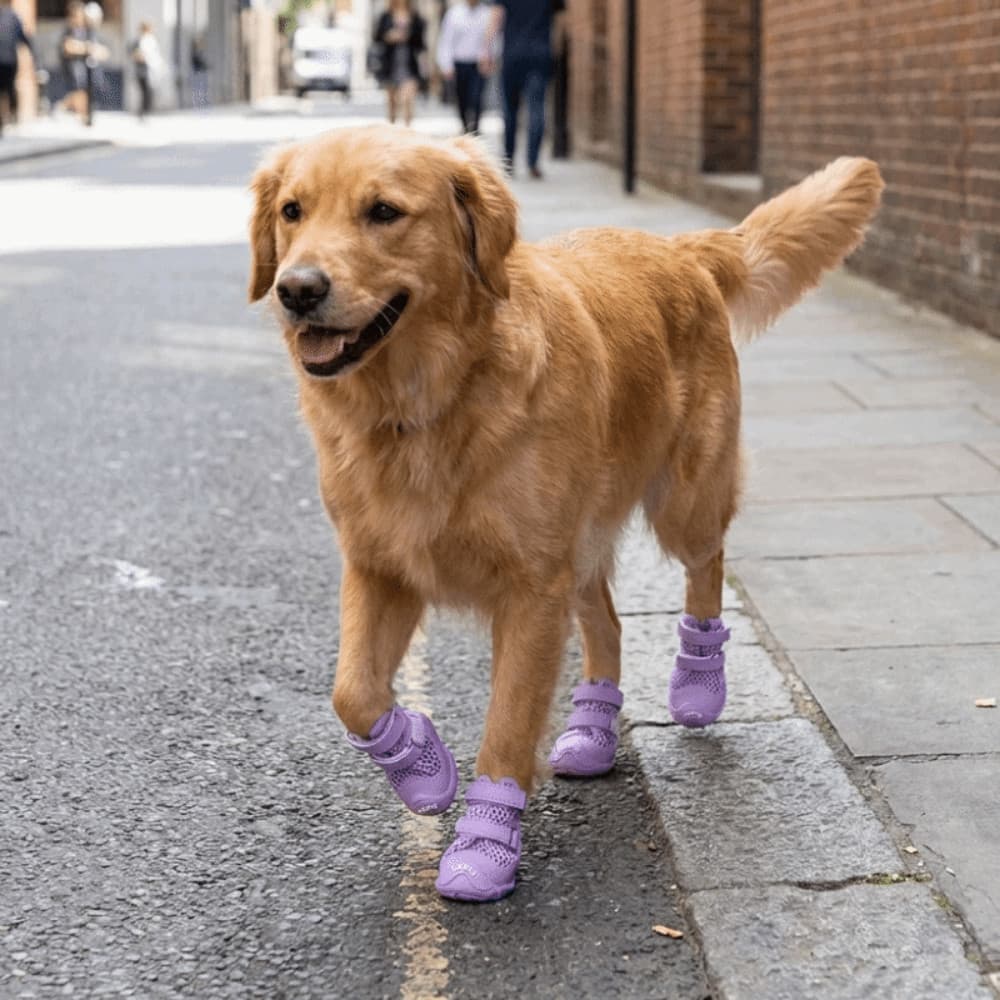 Sapatos Antiderrapantes Para Cães , 4 Unidades , Solas Macias , Resistentes Ao Desgaste , De Estimação , Sandálias Ocas
