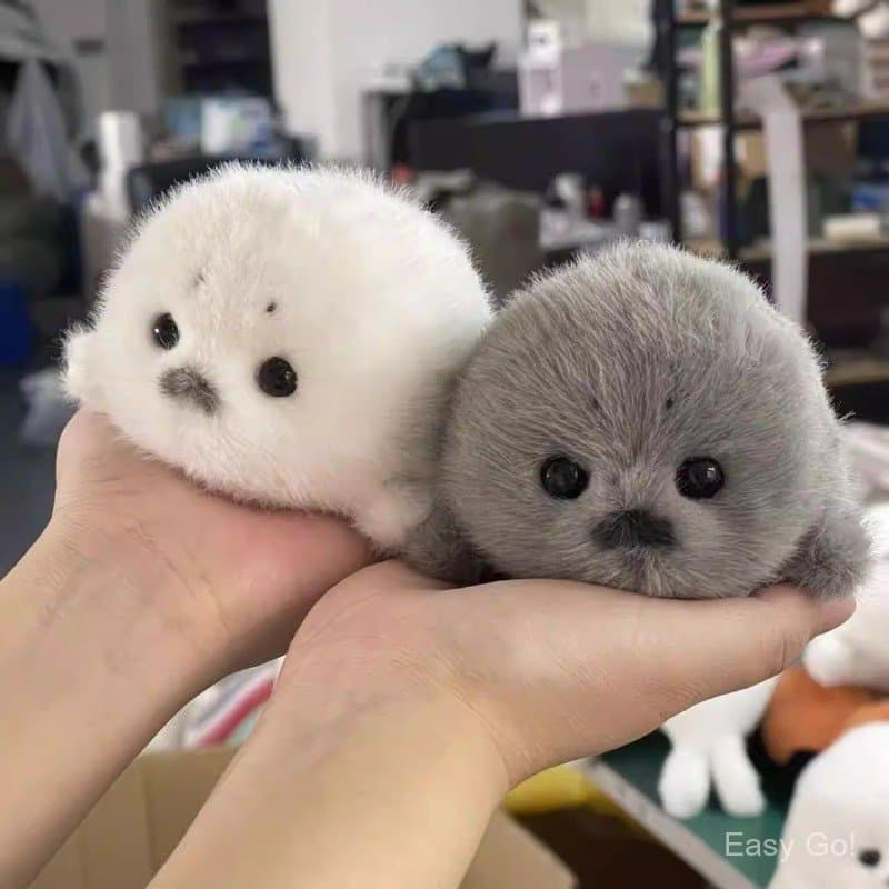 Bonito Mini Selo Brinquedo De Pelúcia Macio Kawaii Bebê Animal Fofo Bolso Tamanho Plushie Para Crianças & Presente