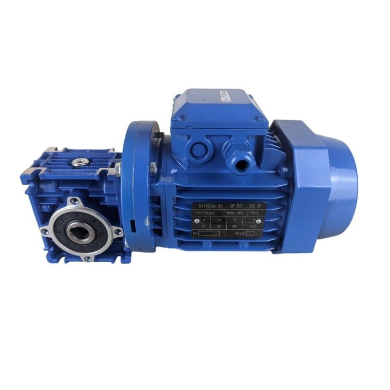Motoredutor Motor 1/8Cv com Redutor 1:100 trifásico 220/380V 18rpm