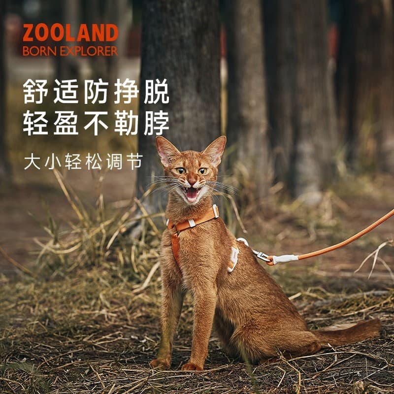ZOOLAND Coleira Anti-quebra para gatos, caminhada Universal para crianças grandes e pequenas, alta aparência, estendida,