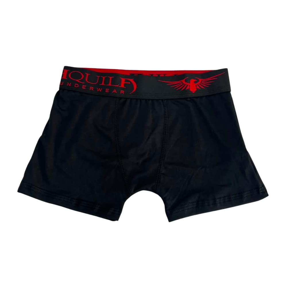KIT 03 CUECAS BOXER AQUILA JUVENIL POLIÉSTER 8 A 12 ANOS