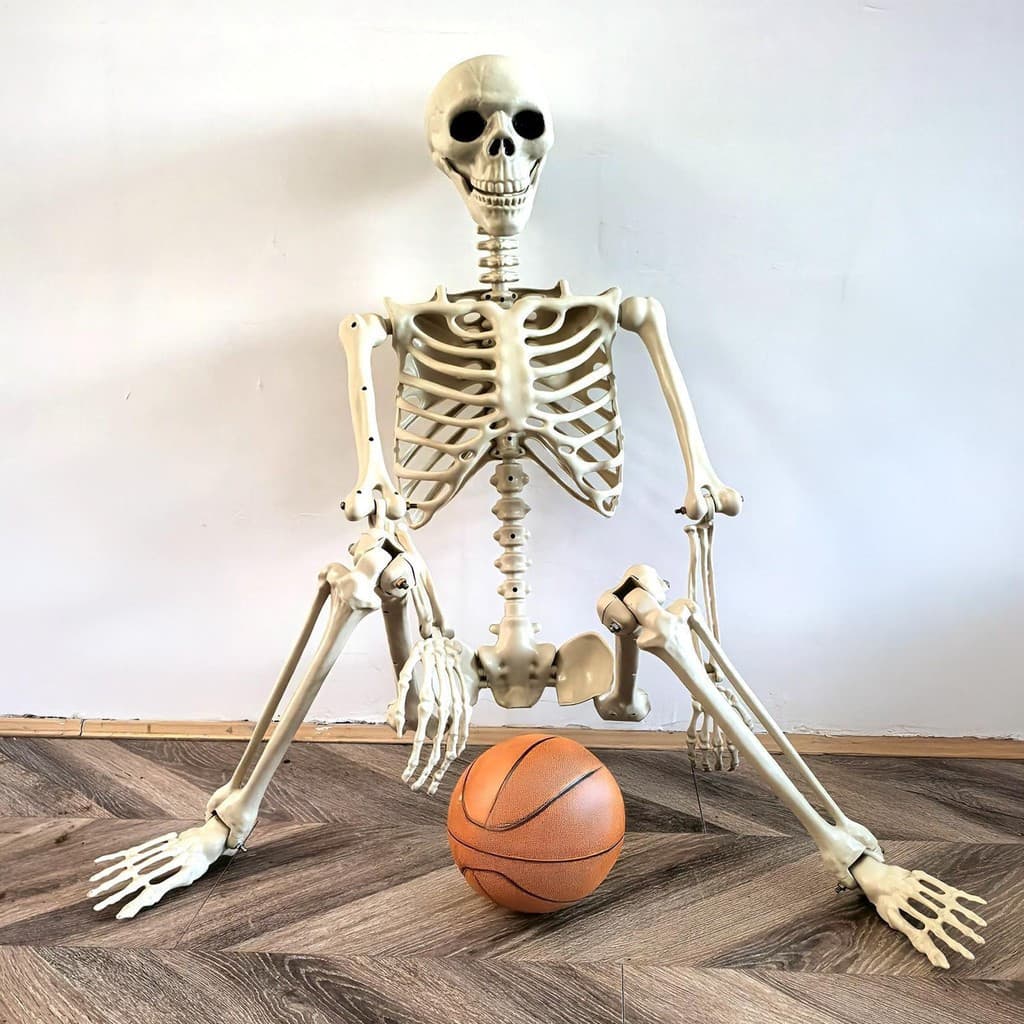 Halloween Esqueleto Decoração Tamanho Real Humano Com Articulações Posáveis Resistente Às Intempéries Decorativo Ao Ar L