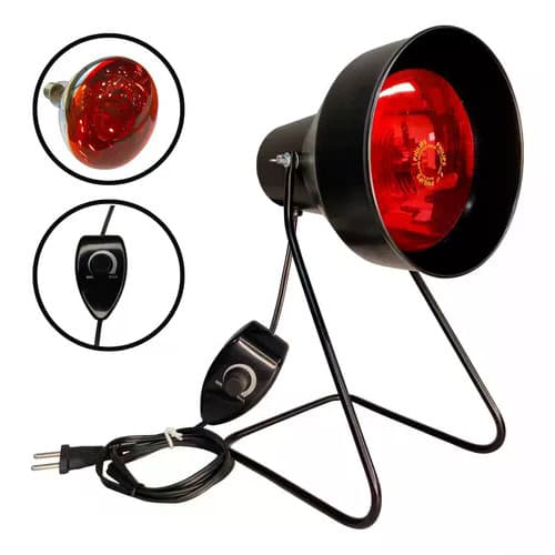 Aparelho Pt Infravermelho Com Dimmer + Lampada 250w Cor Da Cúpula 220v Cor Da Estrutura Preto