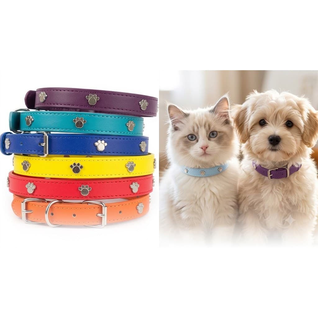 Coleira Pet Couro Patinha Conforto Cães e Gatos Pequenos Resistente Premium
