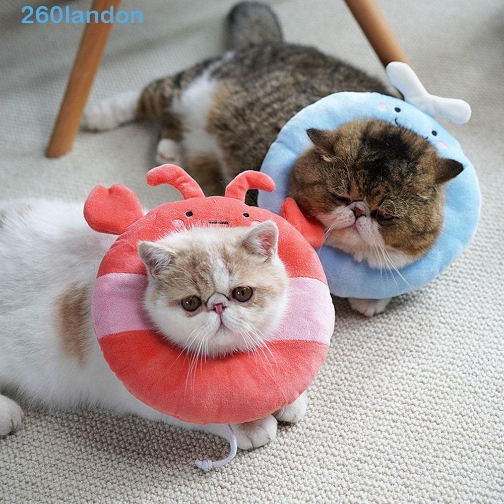 Coleira De Gato LANDON Anti-Mordida Soft Donut E-Collar Elizabeth Circle Coleiras De Recuperação Ajustáveis