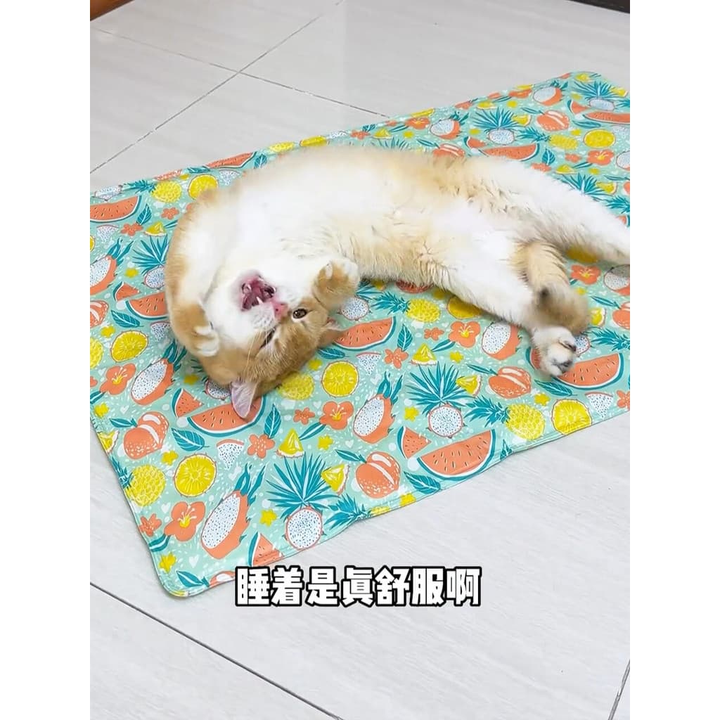 Almofada de gelo para animais de estimação, almofada legal para gato, cachorro, gato, cachorro, almofada legal, verão, a