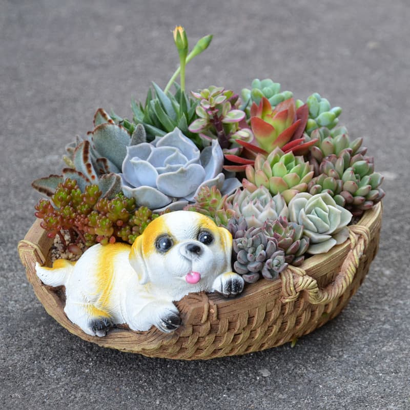 Criativo suculento vaso de flores cimento vaso artesanal Retro cão Animal grande diâmetro prato vaso