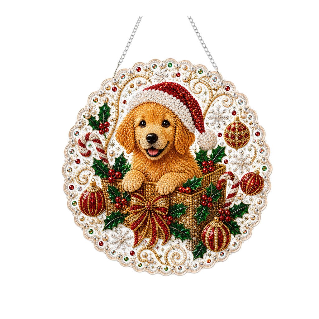 DIY natal pérola arte pintura diamante coleção-vermelho equitação capuz filhote de cachorro acrílico renda 3D neve borda