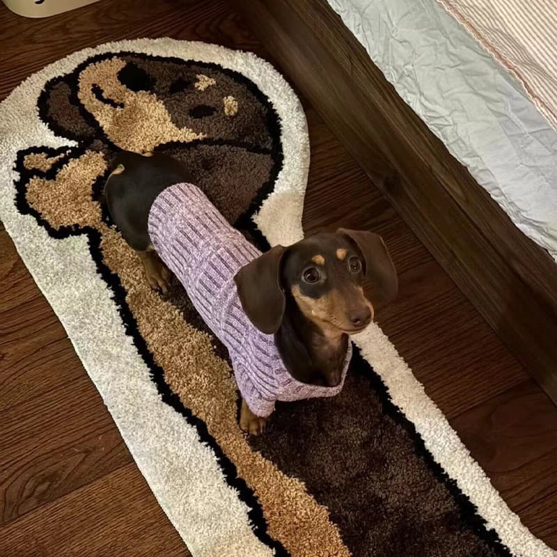 Dachshund tapete Design quarto ins simples pelúcia casa criativa tapete de cabeceira dos desenhos animados tapete de cab