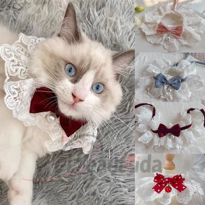Renda Bowknot Pérola Colar Gato Cão Neckerchief Pet Gatos Gatinho Filhote De Cachorro Corda Babador Gravata Pescoço Cint