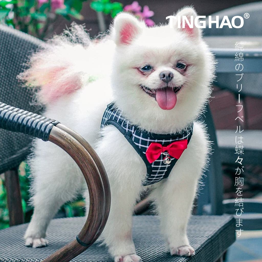 Cão andando trela do cão corrente de pelúcia Pomeranian gato filhote de cachorro trela colete tipo pequeno cão filhote d