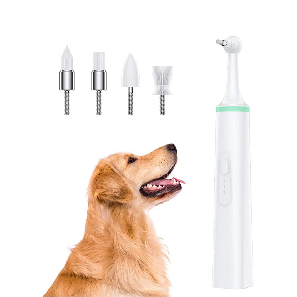 Escova De Dentes Elétrica Multifuncional Doge & Orange Pet : Removedor De Tártaro E Manchas , 3 Modos , Fonte De Aliment